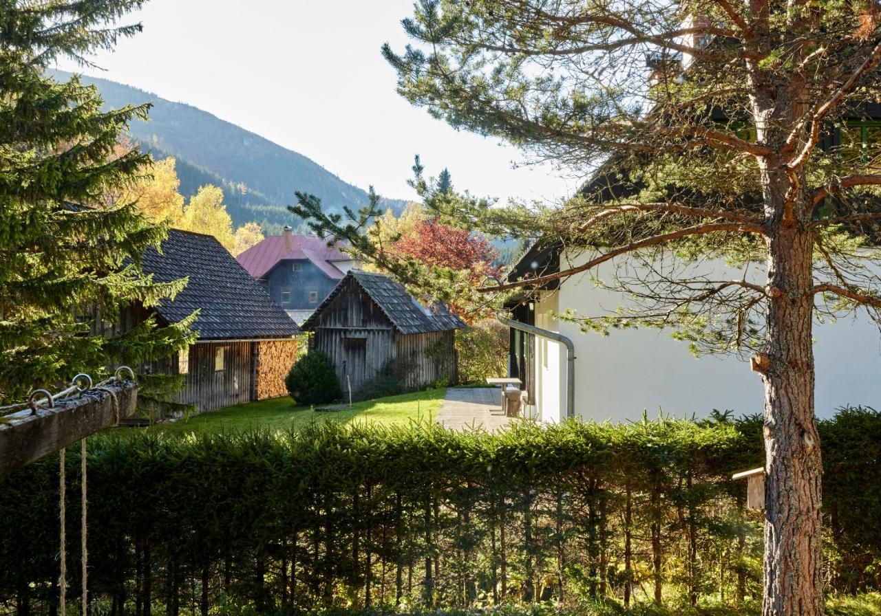 Frein Chalets - Wildalm Frein an der Murz Exterior photo